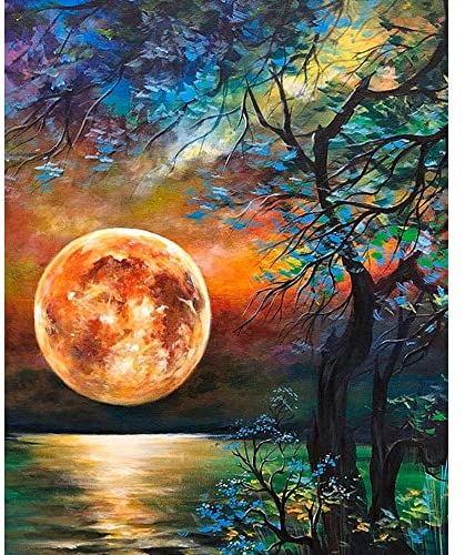 1set Paint By Number Adult Kit,DIY Oil Paint By Numbers For Starry  Moon,Paint By Numbers For Adults Advanced,Without Frame